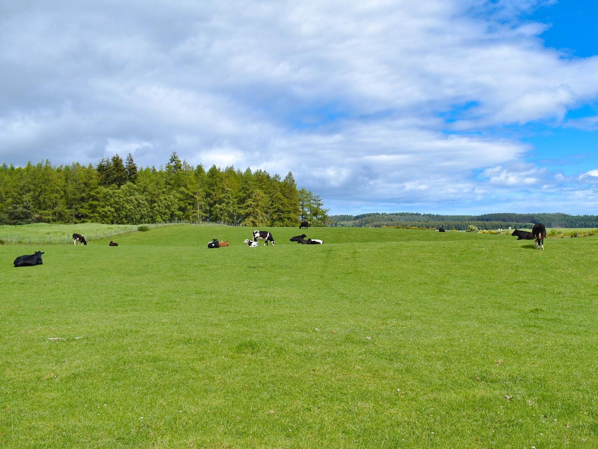 Ben View Villa Orbliston Eksteriør billede